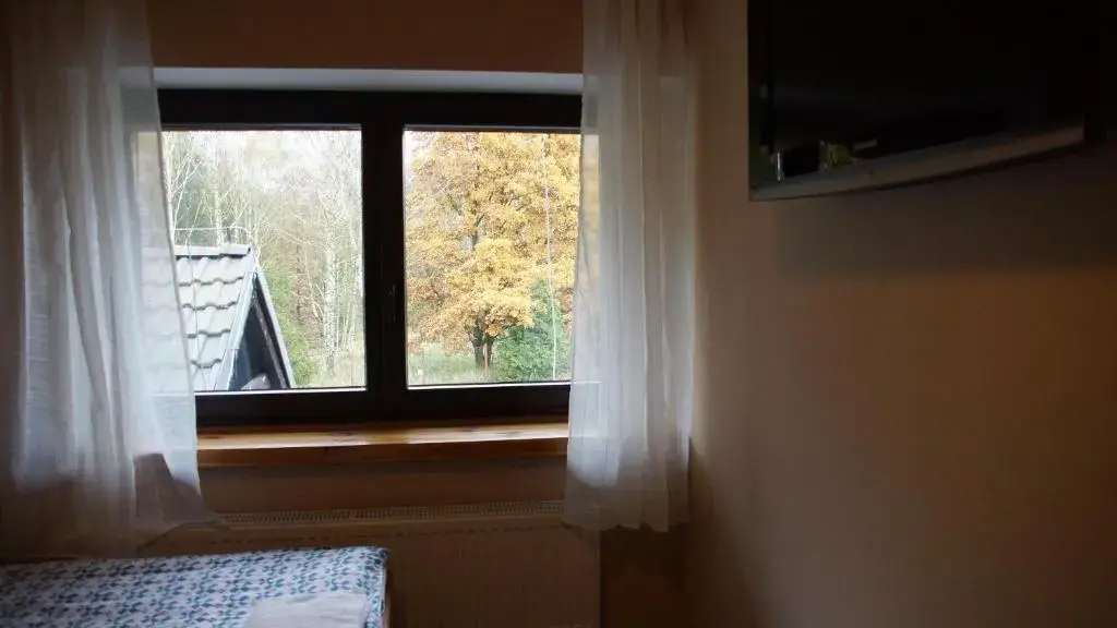 Deluxe Double room full double bed