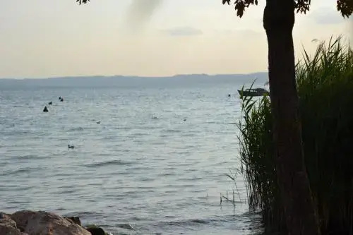 Beach & Waterfront