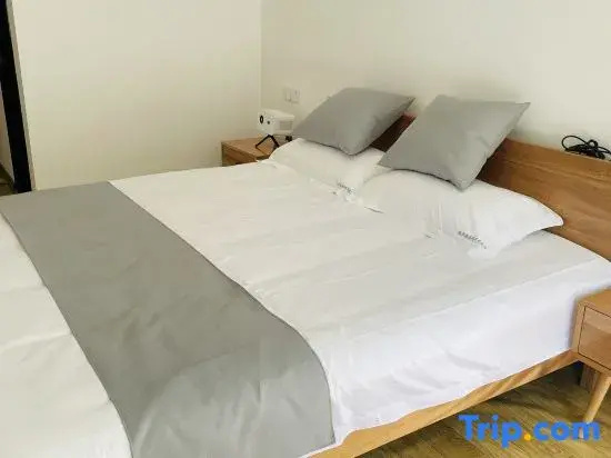 Standard Double Family room (twin beds)