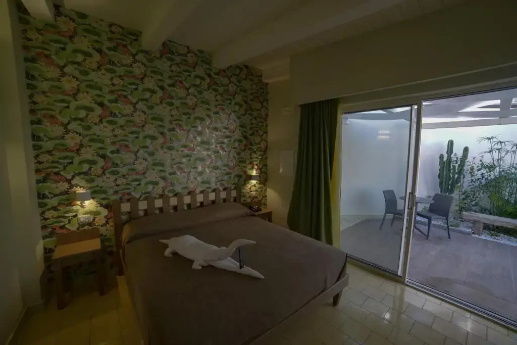 Standard Double room (full double bed)