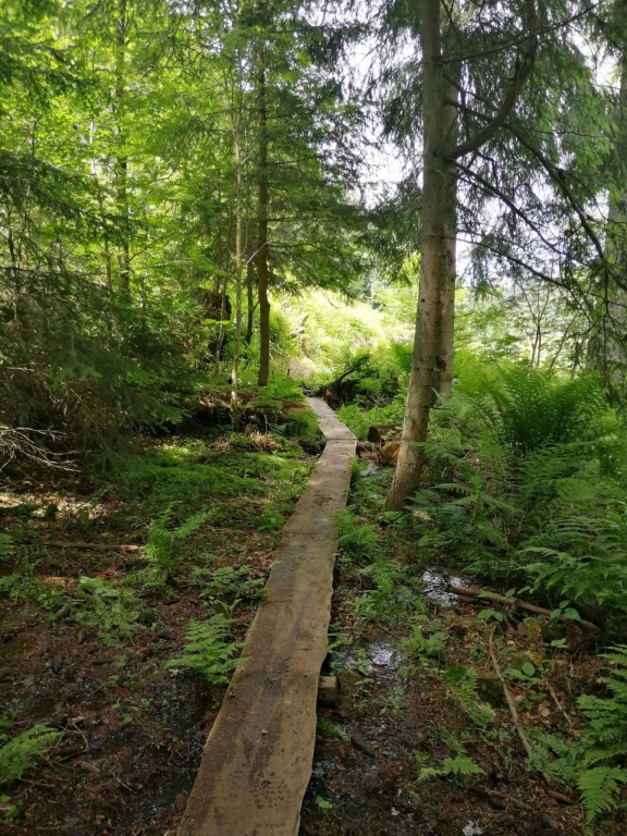Nurdachhaus Auszeit