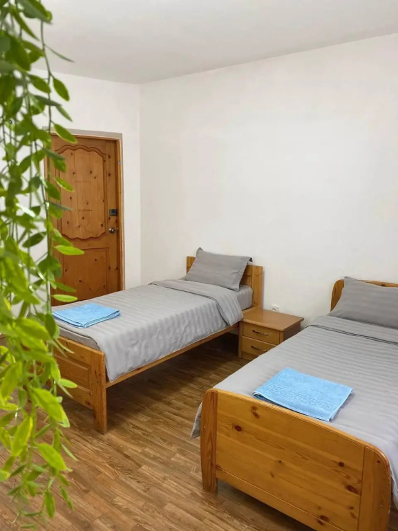 Номер Economy в Cats&Beds hostel