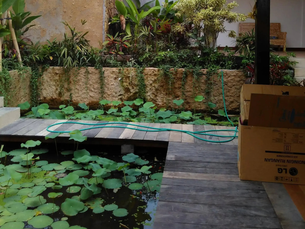 Lotus Villa Ubud