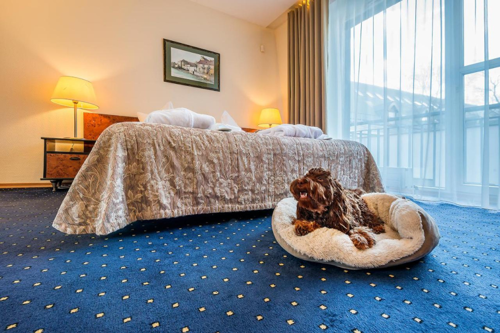 Hotel photo 12