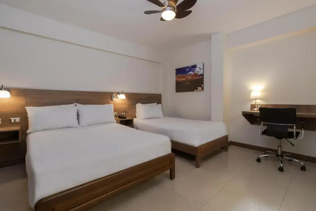 Standard Double room (twin beds)