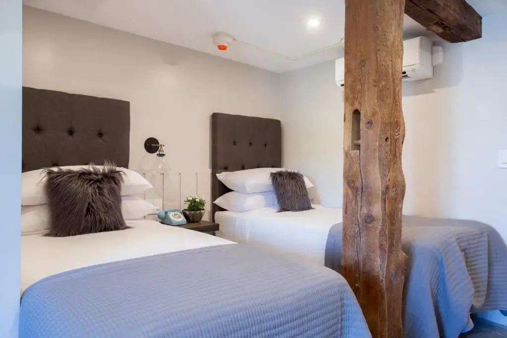 Standard Double room with mountain view (twin beds)