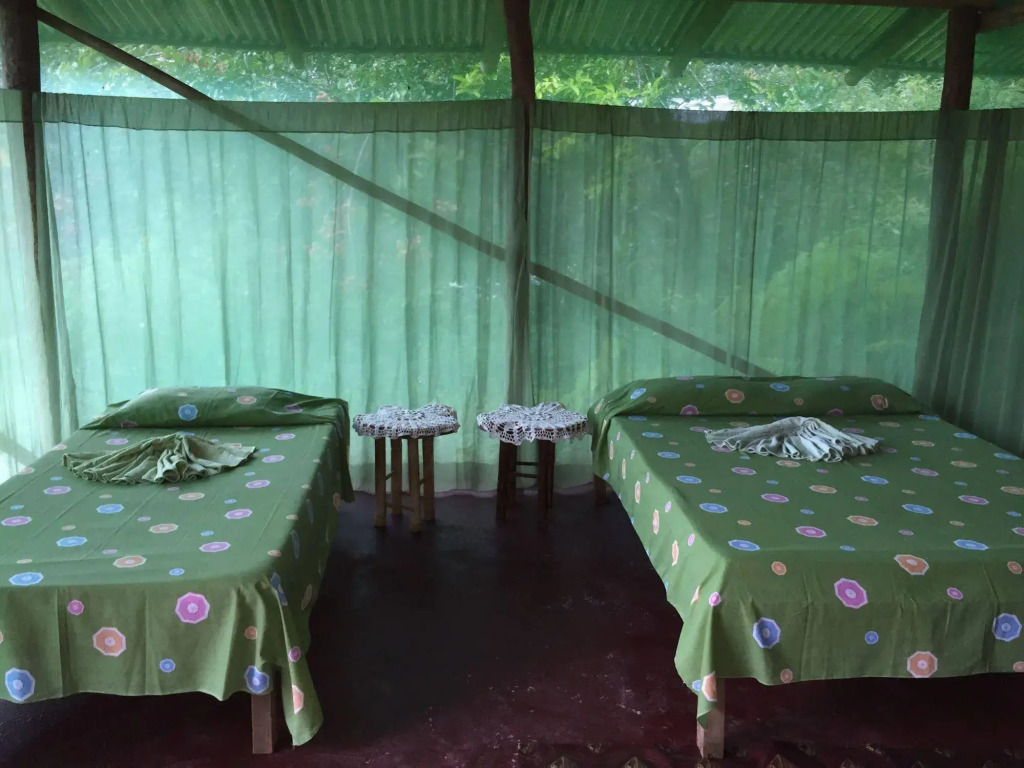 Isla Violin Eco Lodge - фото 15