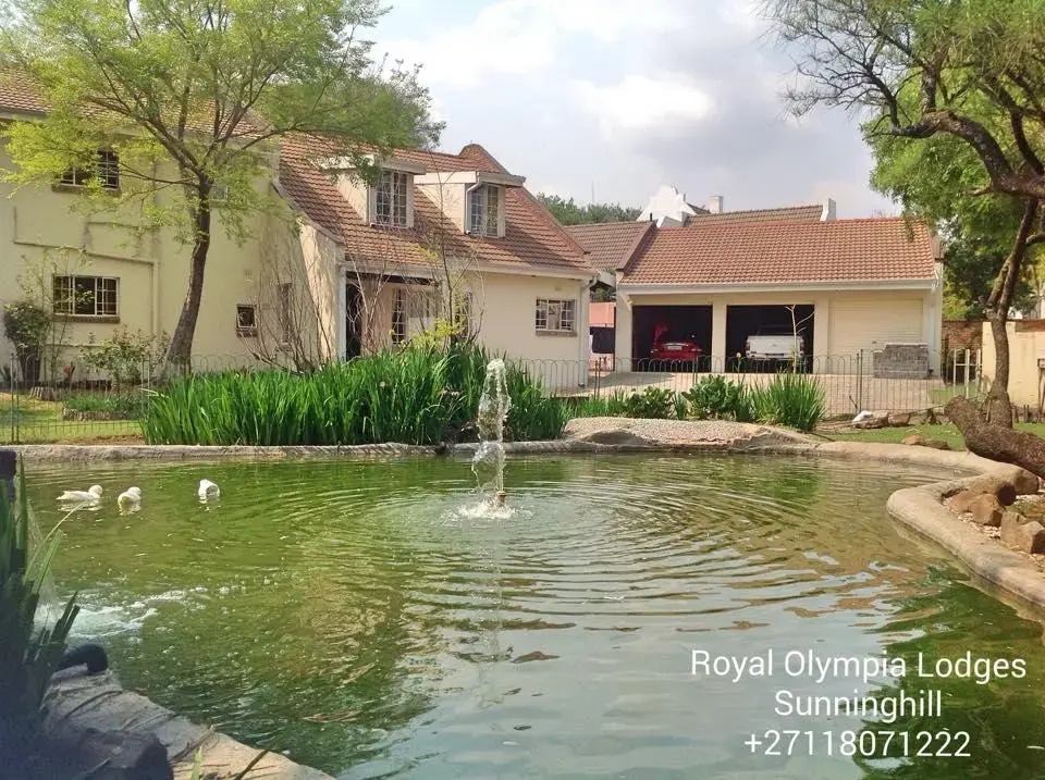 Royal Olympia Lodge - Chambres