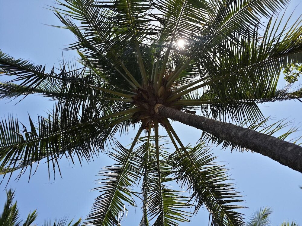 The Palms by Lost Beach Vacations