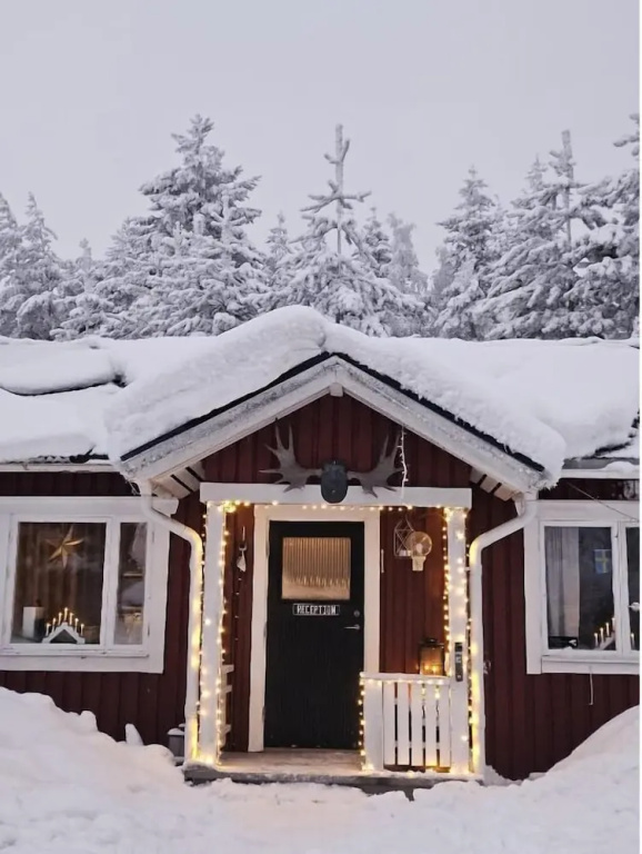 SKOG - Aurora igloos