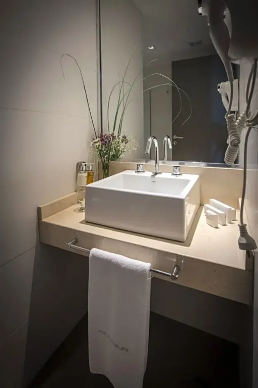Brizo Neuquen - Chambres