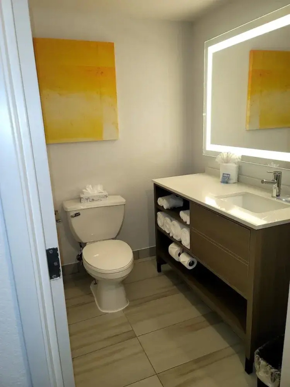 Comfort Inn & Suites Arlington Heights - Chambres