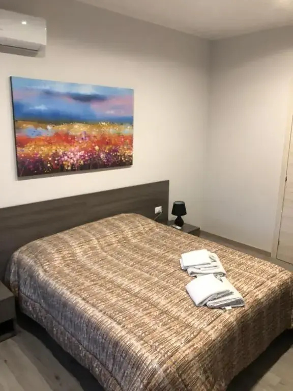 Standard Double room (twin beds)