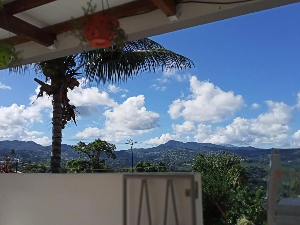 Paradis Caché - Confort Terrasse - Kybo Karaib Location - pkg - Mtgne