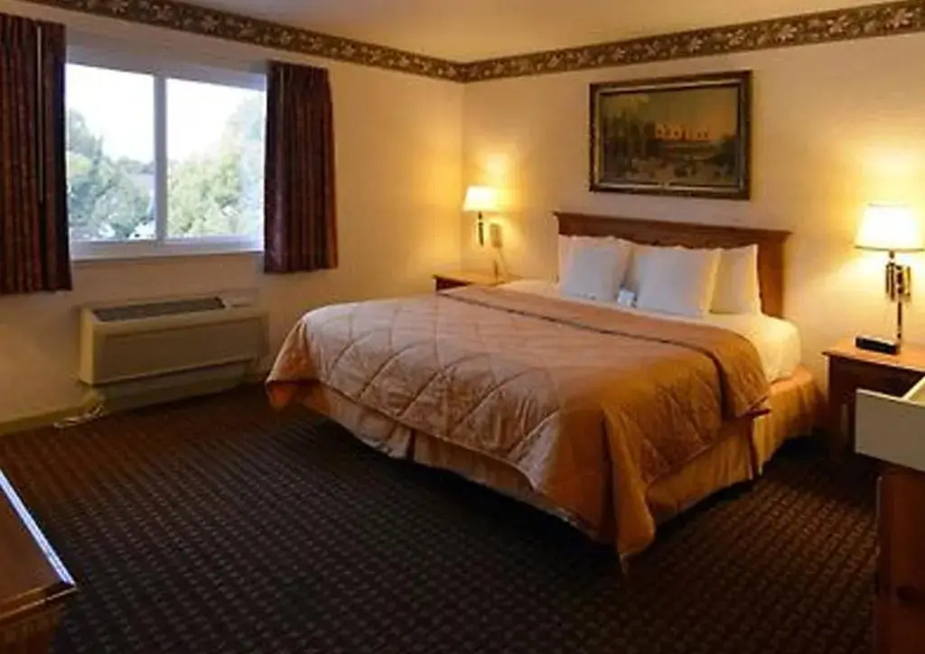 Vitruvio Hotel - Chambres