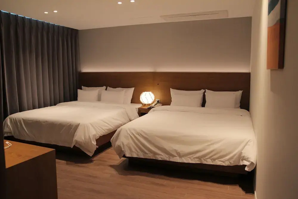Deluxe Double room with city view (twin beds)