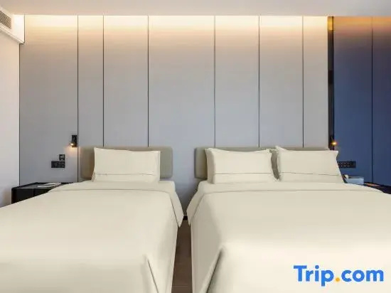 Standard Double Family room (twin beds)