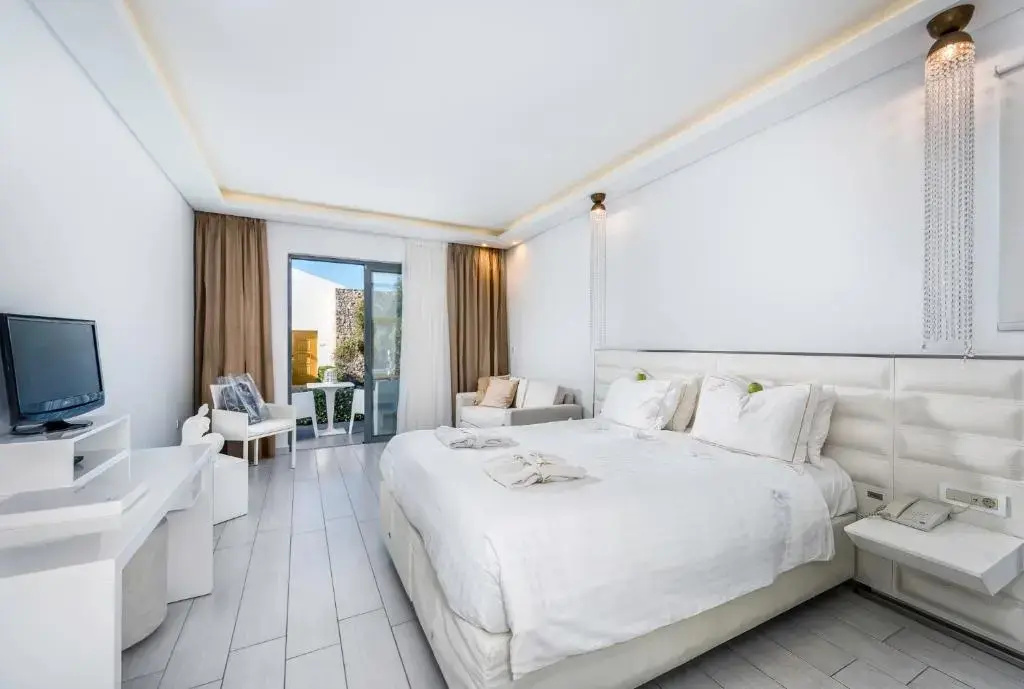 Superior Double room (full double bed)