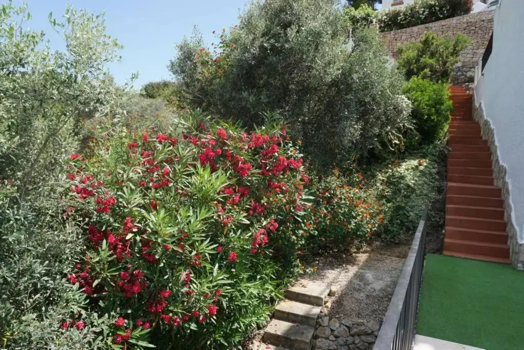 Casa Iris