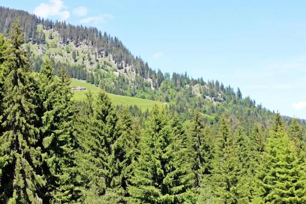 Alpengasthof Hörnlepass - Chambres