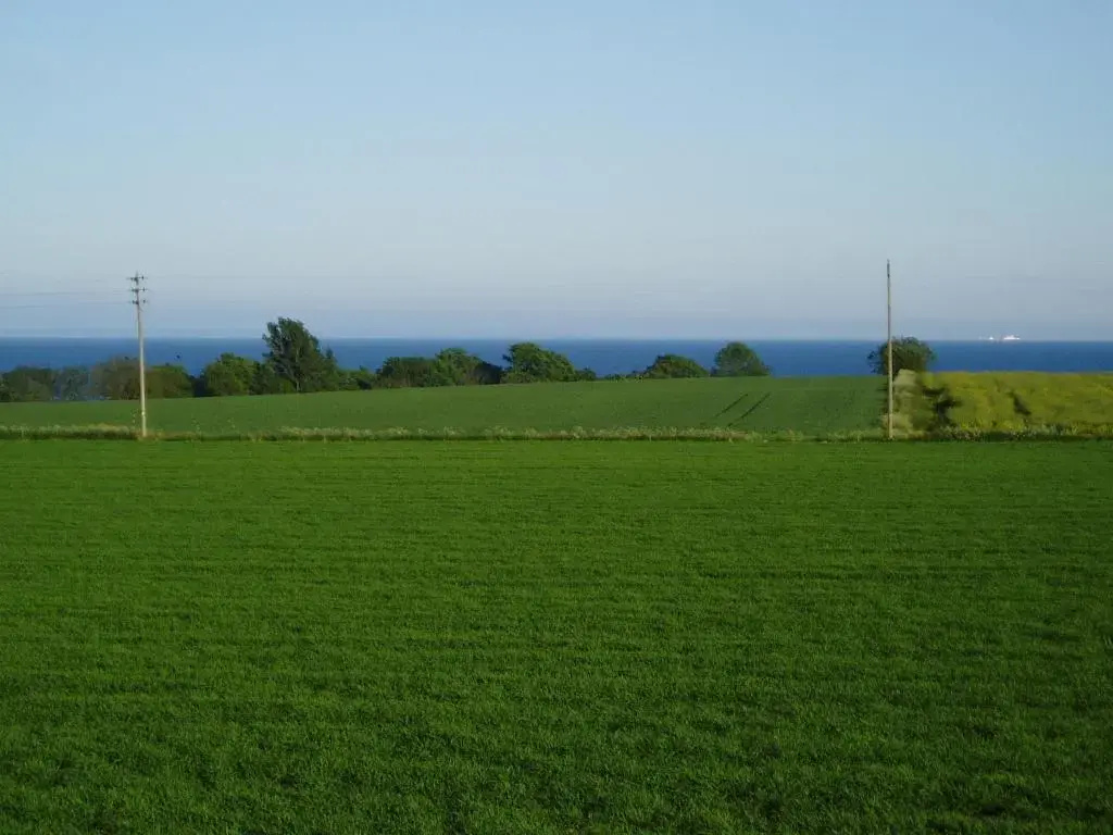 Standard Double room with sea view full double bed