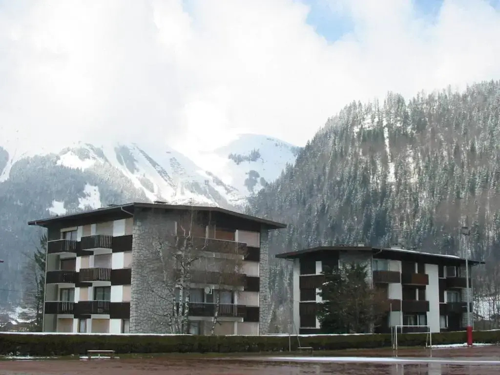 Afficher la photo 8 — Appartement Morzine, 3 pièces, 6 personnes - FR-1-524-8
