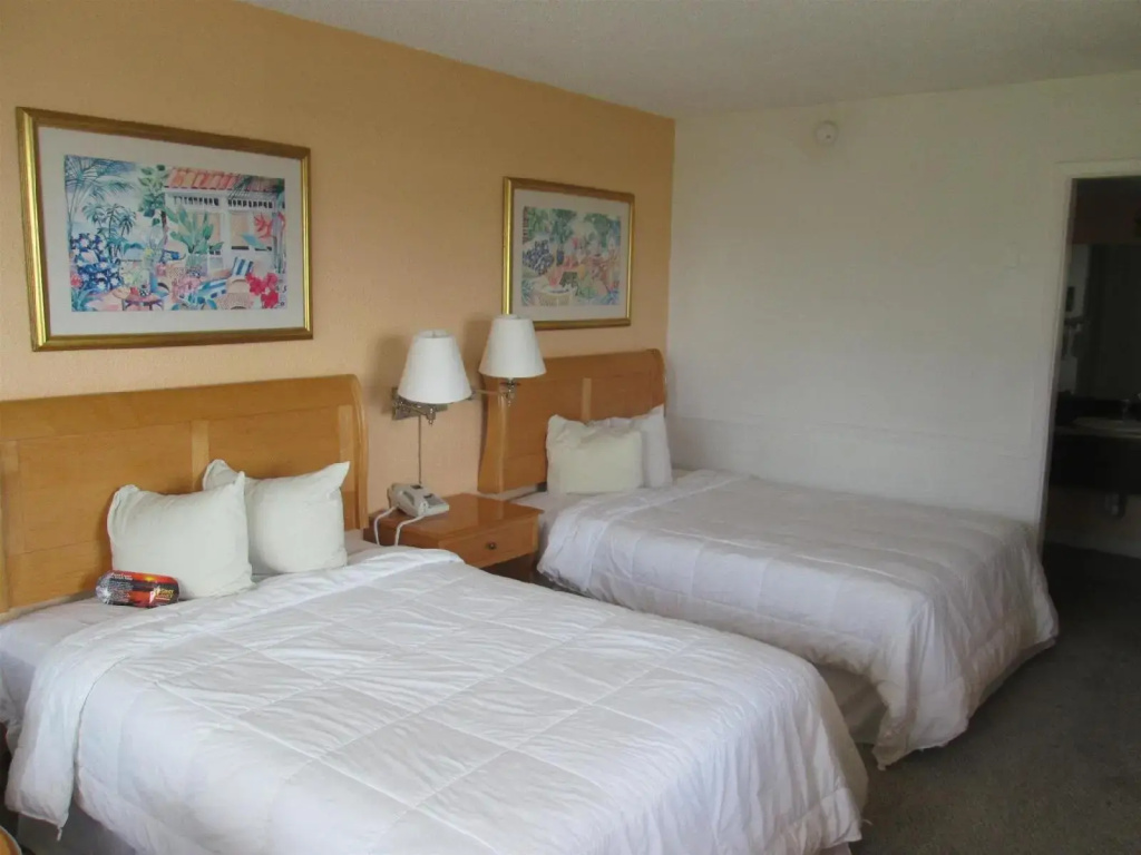 The Flamingo Resort - Adult Resort - Général