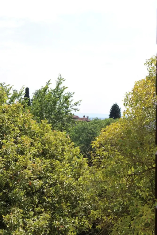Hotel photo 49