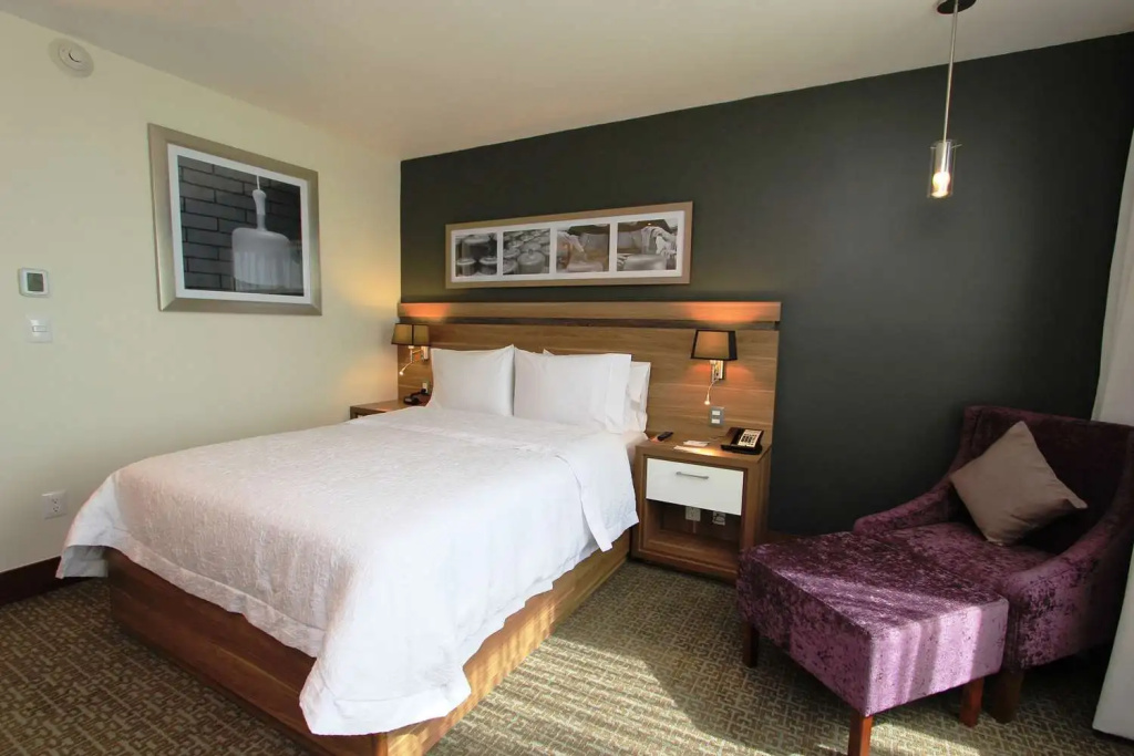 Hampton Inn by Hilton Leon Guanajuato - Chambres