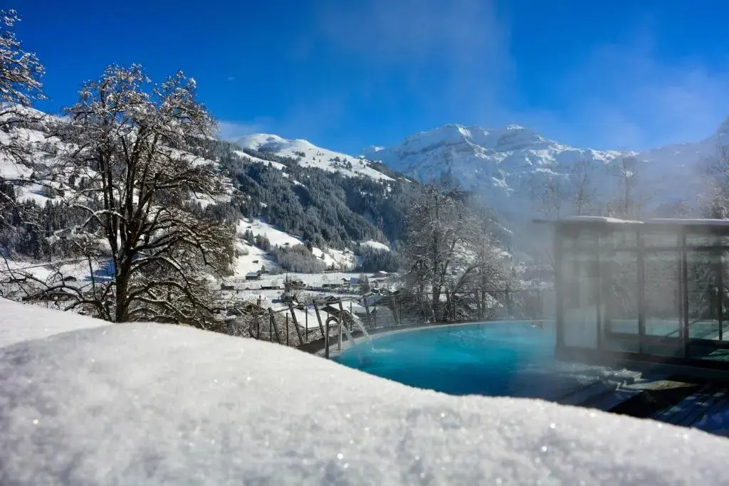 Lenkerhof Gourmet Spa Resort - 2