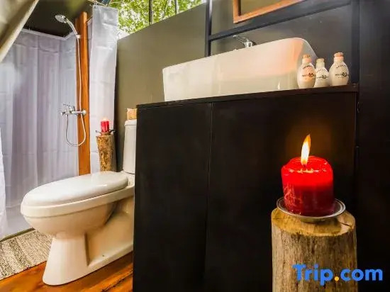 Mahoora Tented Safari Camp - Wilpattu