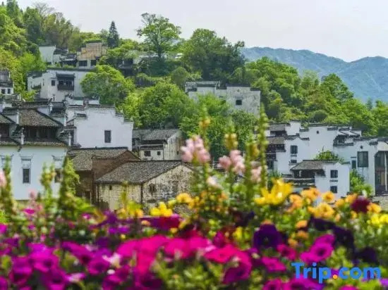 Huangling Shaiqiu Meisu (Huangling Scenic Area Branch)