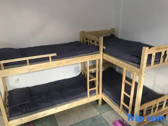 Bed in Dorm