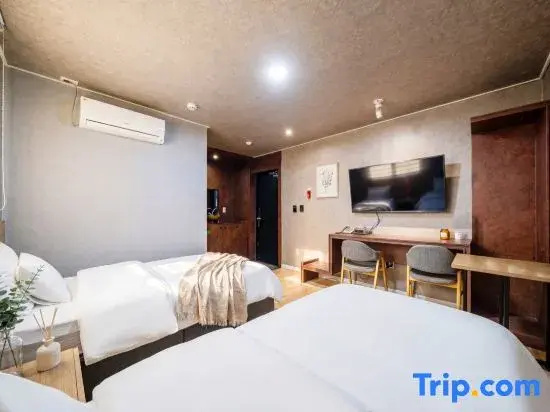 Deluxe Double room (twin beds)