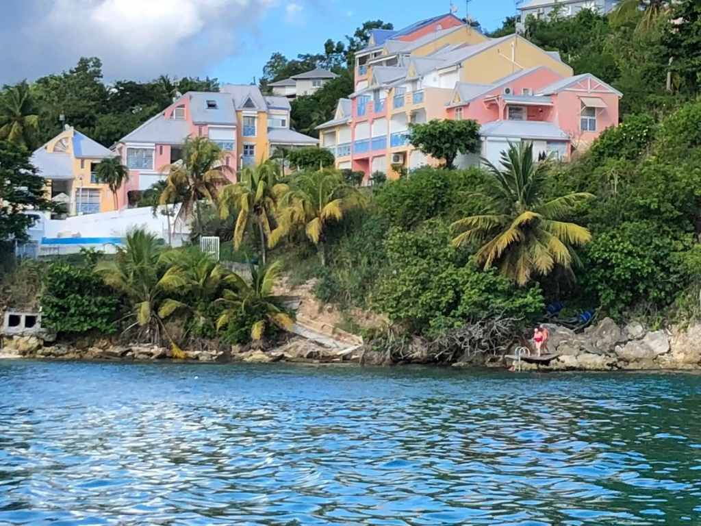 Pelican Paradise