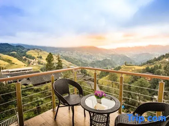 Balcony & Terrace