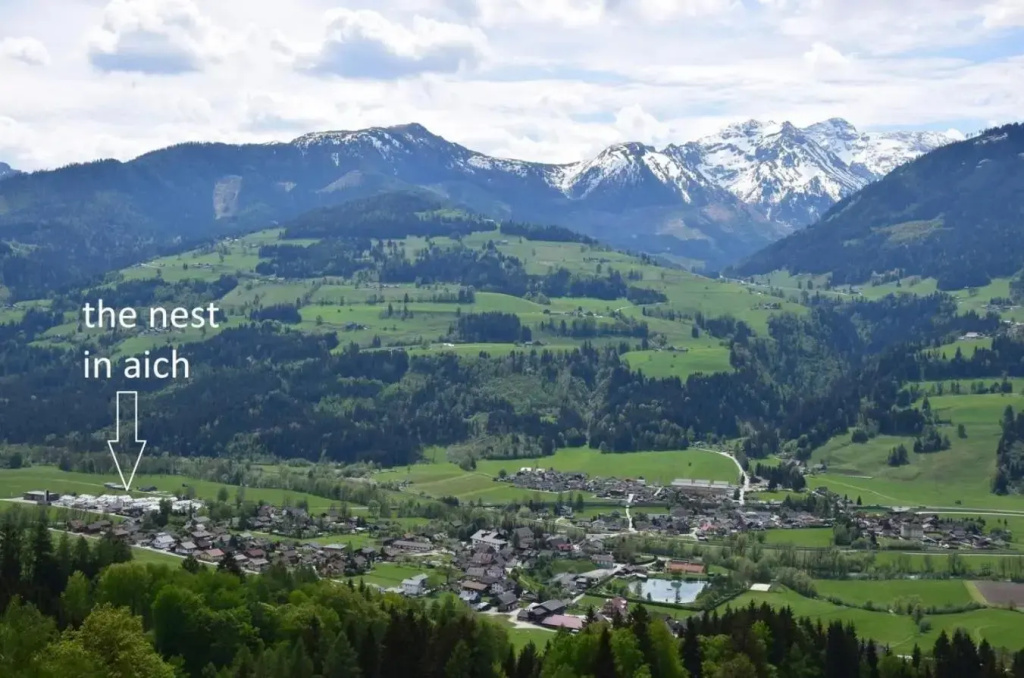 The Nest in Aich by Schladming-Appartements