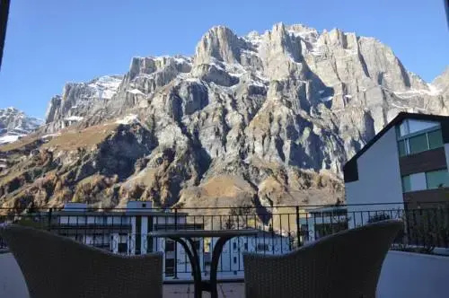 Balcony & Terrace