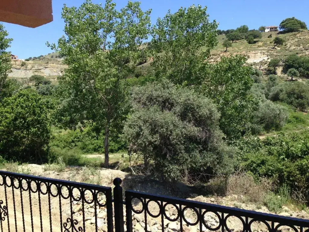 Standard Double room with balcony (full double bed)