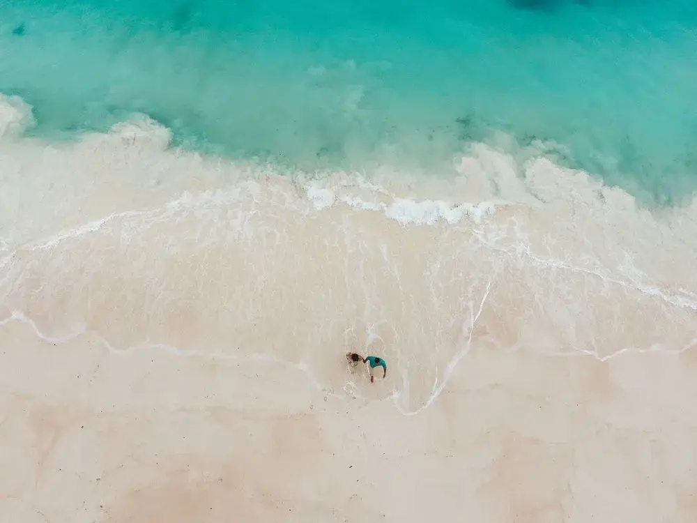 Turtle Island Fiji