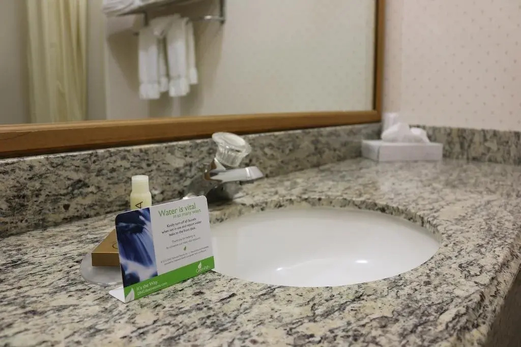 Gray Wolf Inn & Suites - Général