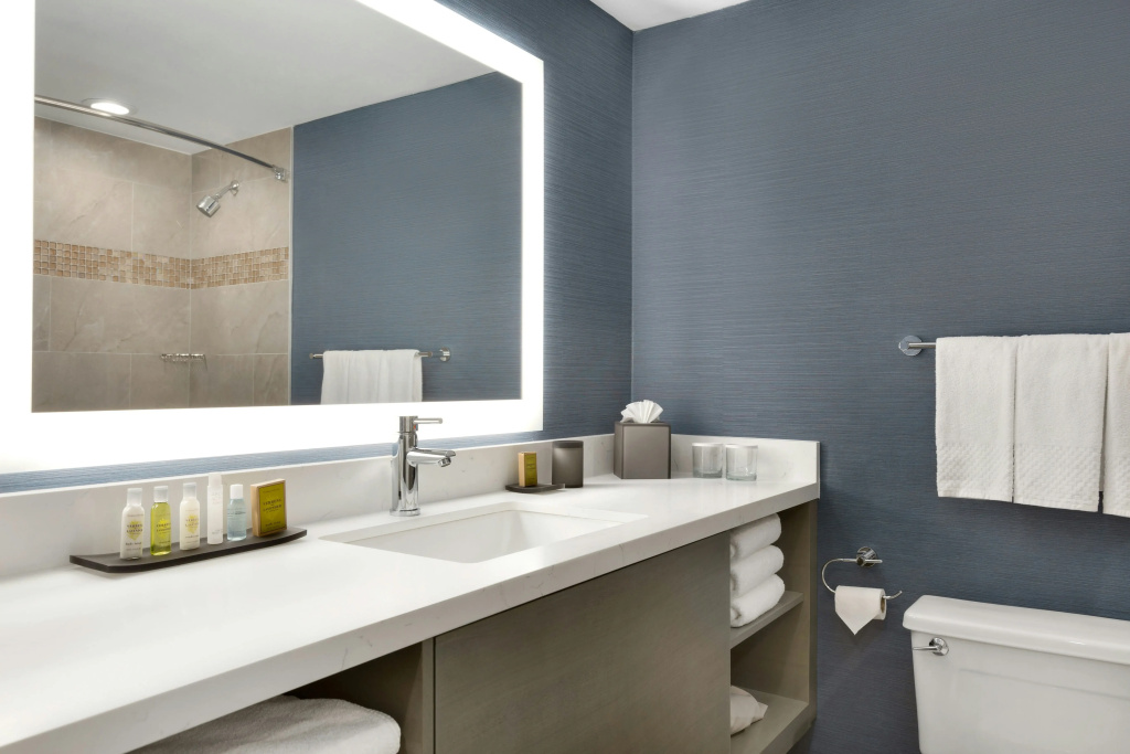DoubleTree Suites by Hilton Hotel Boston - Cambridge - Général