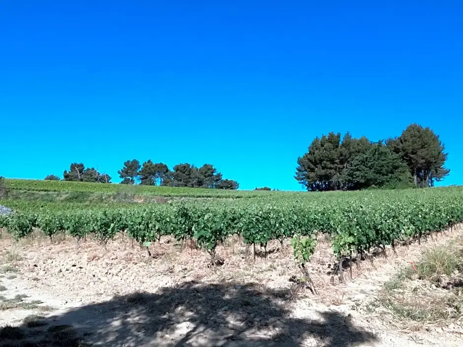 Beach & Waterfront