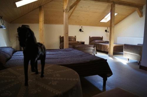 gallery_image_hidden_22