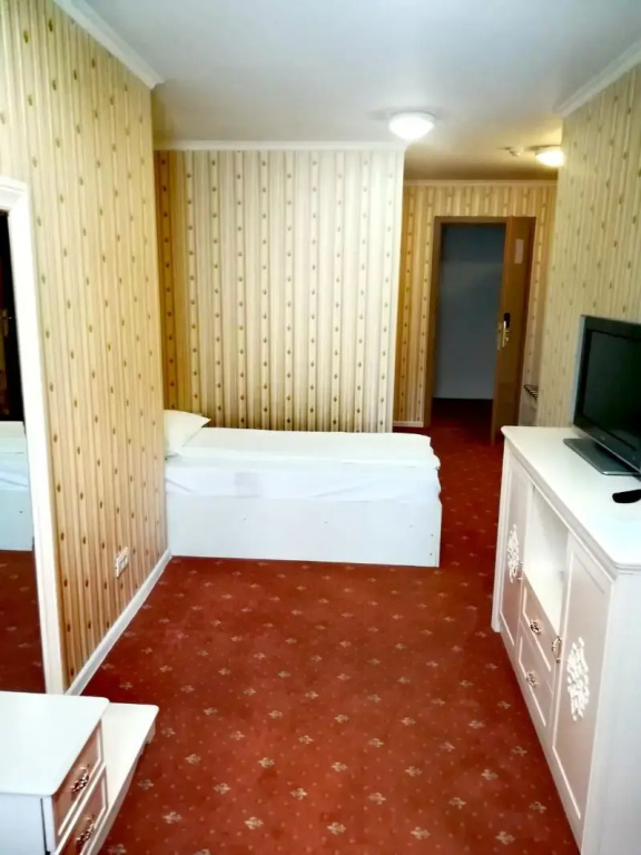 Hotel Carpathia - Chambres