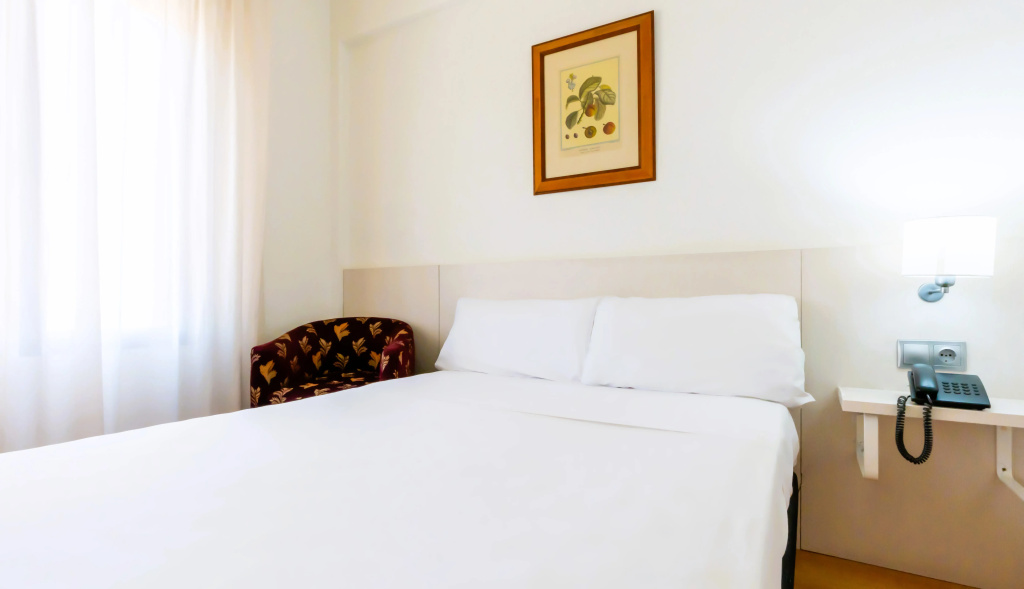 Hotel Palacios - Général