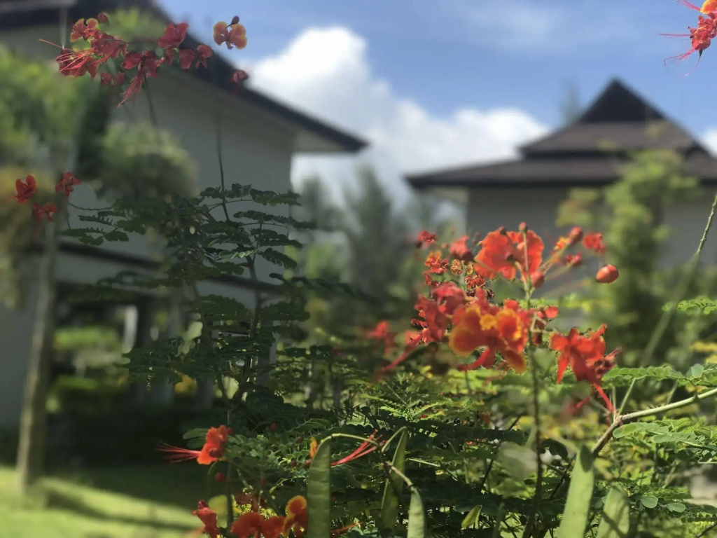 The Hip Resort  @ Khao Lak - Général