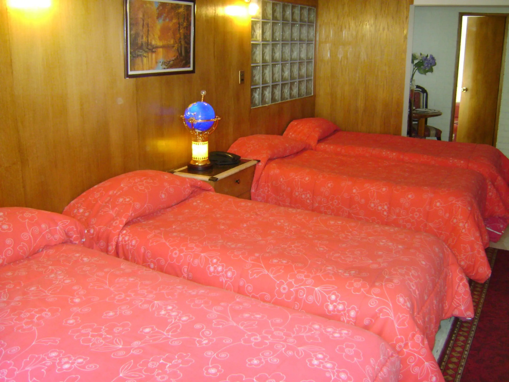 Windsor Suites Hotel - Général