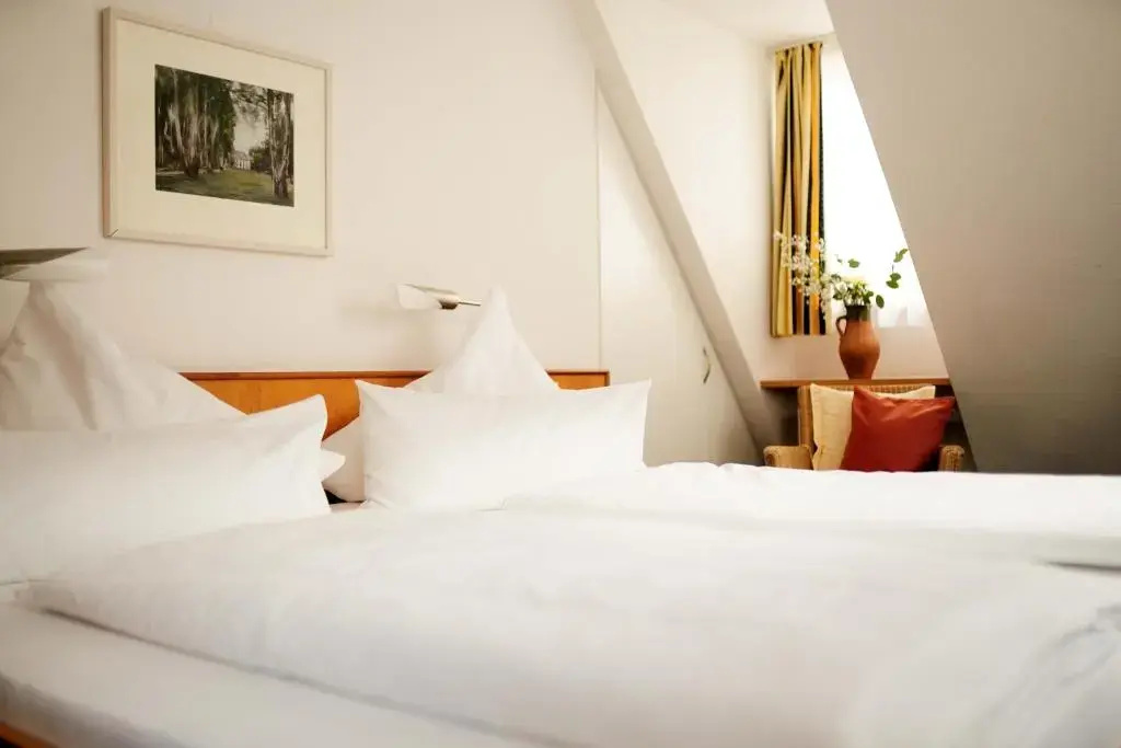 Hotel-Restaurant Anne-Sophie - Chambres