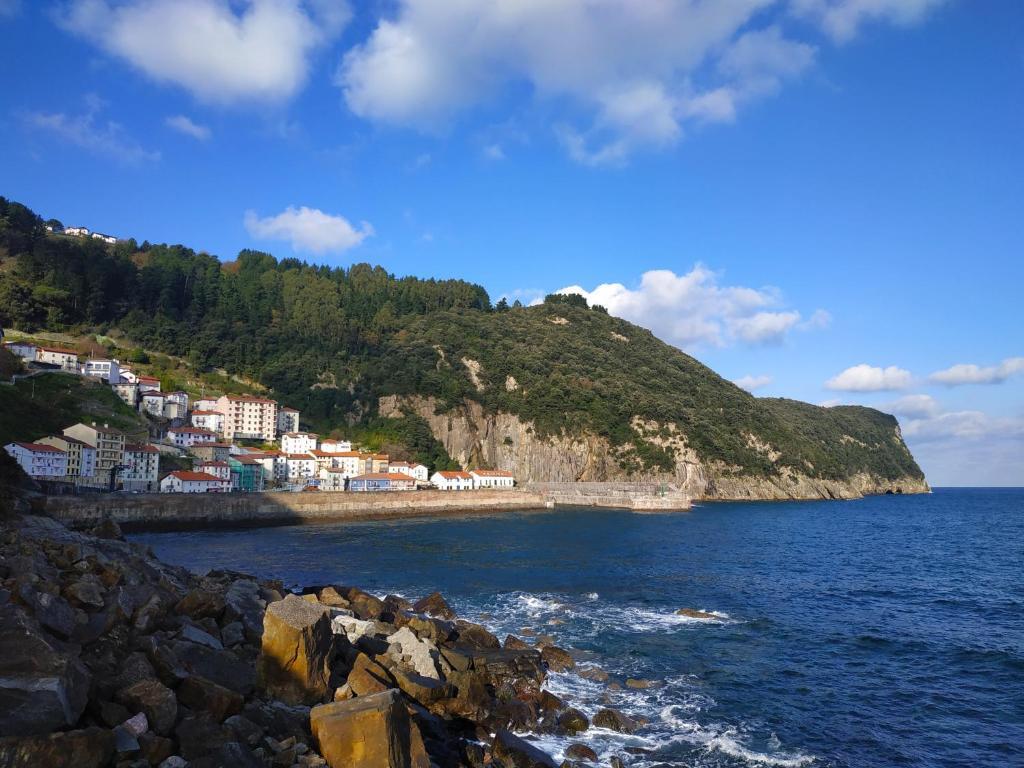 Image 8